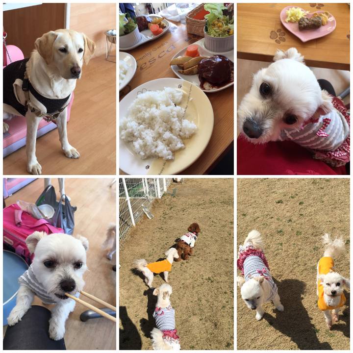 Fb0990cb f154 4c4c 9379 3a2ec9974374 1550892559666