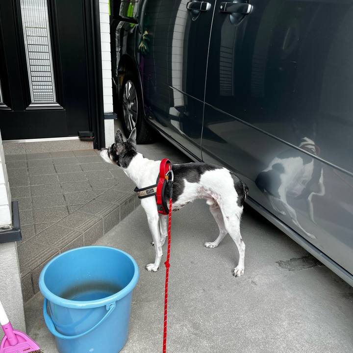 Fb099c60 3ba3 4543 9f9b 8ba6245b024c 1634433358055