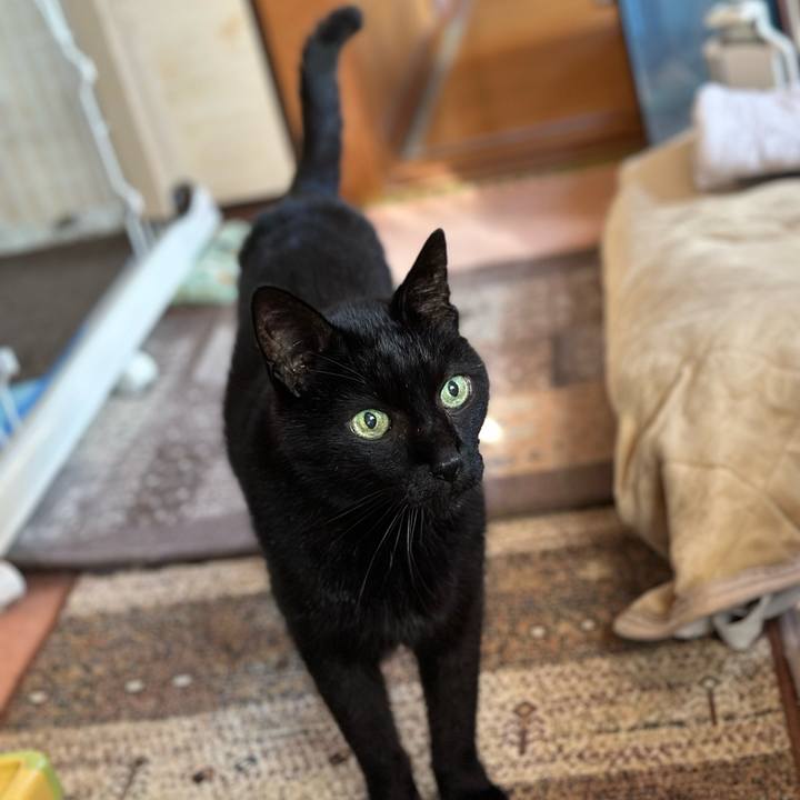 Fb09f400 7594 48d4 8ffe 18152e6ea8e9 1699406745673