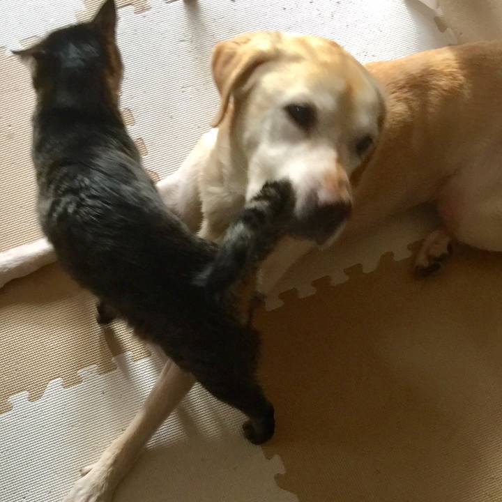 Fb09f544 81e8 42af becb e47f8a03afd3 1614423801492