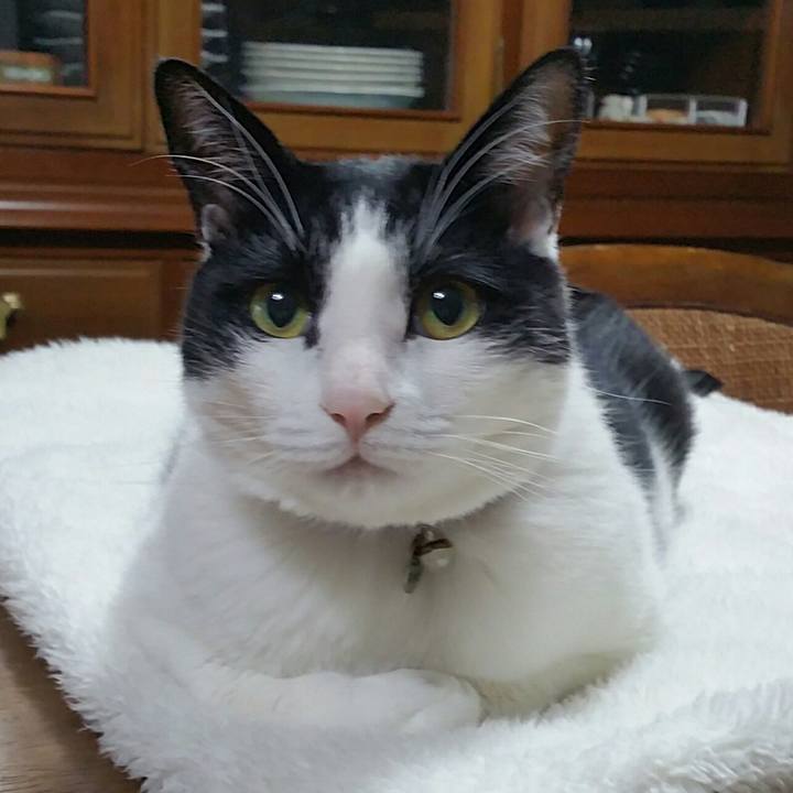 Fb0a07c1 1780 4a53 9fd6 aefaafcc1171 1579479088856