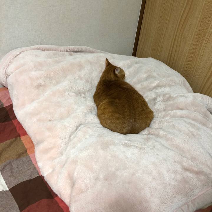 Fb0a2292 3ea1 4e74 8e89 dfca1ead661f 1707861179075