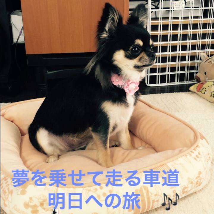 Fb0a3f2c f03b 4f44 a36f f4b72148b770 1562469270963