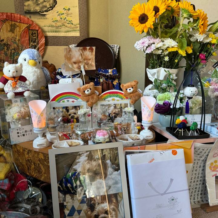 Fb0a43e9 2ab6 48ea af5b a086e9b39fd6 1723717314133