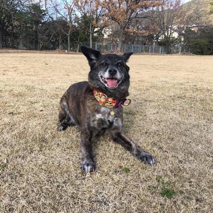 Fb0a5bf0 51a8 4f9f b377 dd6c1d174ea6 1614296398748