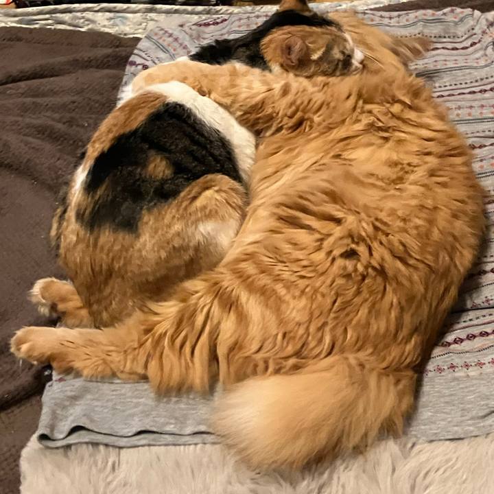 Fb0a7ec7 2704 4ed1 b46b 4284e6716b40 1764490820471