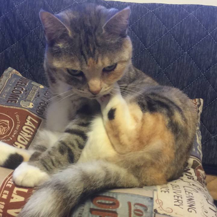 Fb0a88a6 7364 4456 98a4 35890768ce41 1553159039961