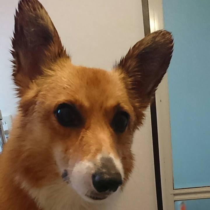 Fb0ab0c2 00af 4e0c aebe 7e7ad7ab7632 1522489732747