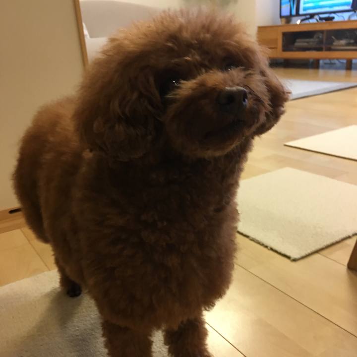 Fb0ab688 72ce 41a3 a98f 38d6713a0856 1537489078827