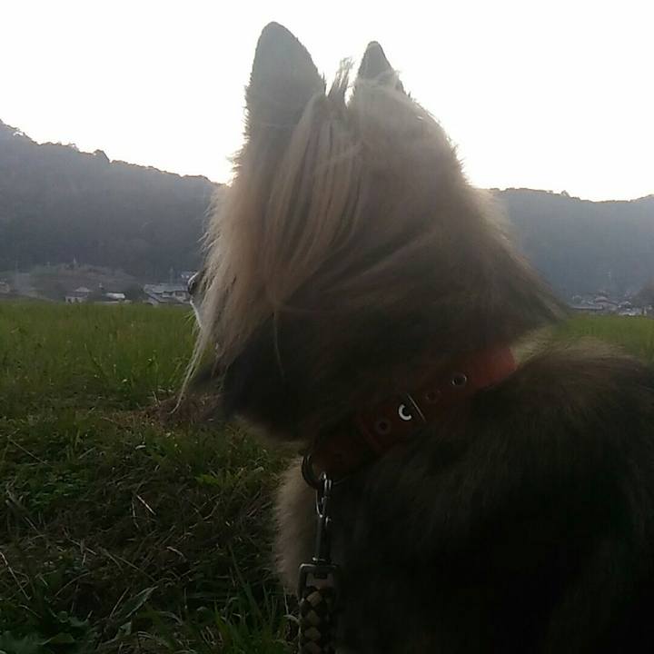 Fb0ad5e0 75c7 4c28 aee7 17b511d39a65 1513929063157