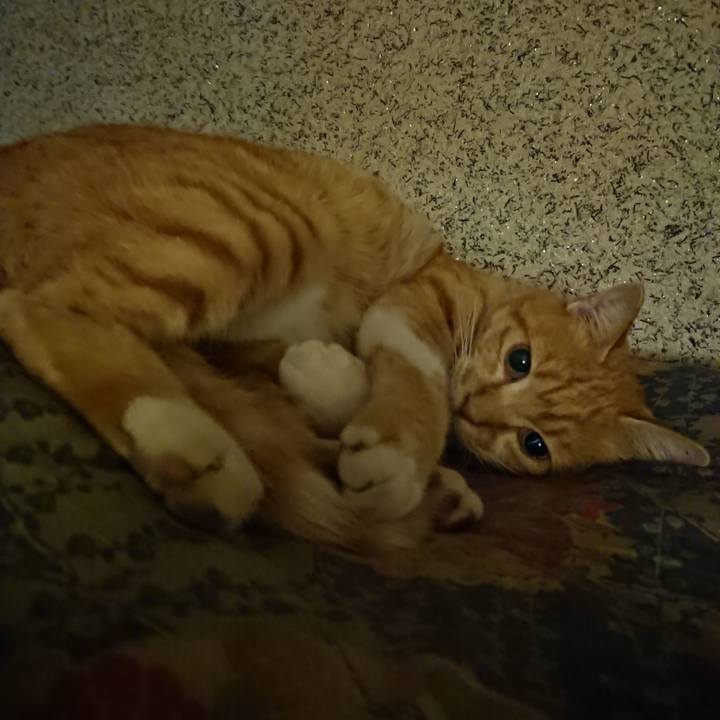 Fb0aebac 846d 48b0 97e3 527a0edcede2 1602075008978