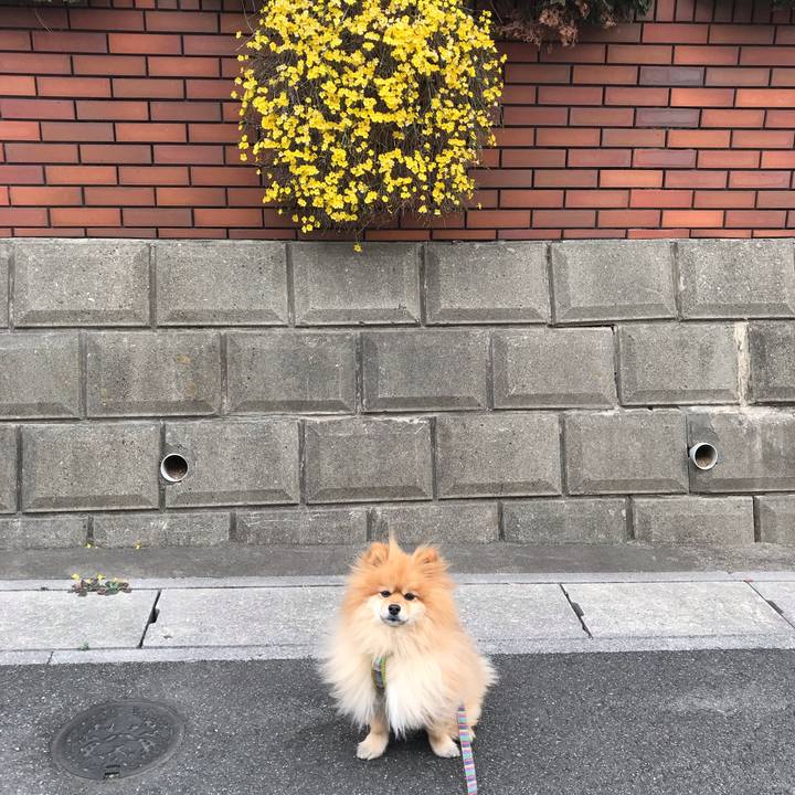 Fb0af366 3975 4c6a 886e 67a3acce91ea 1551236060858