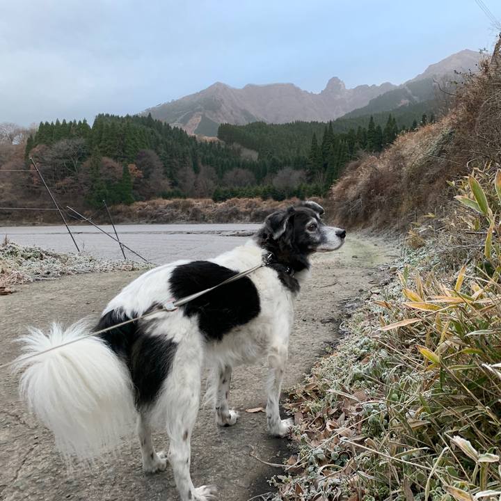 Fb0af519 fae3 40e1 9309 05ac94420375 1575970657525