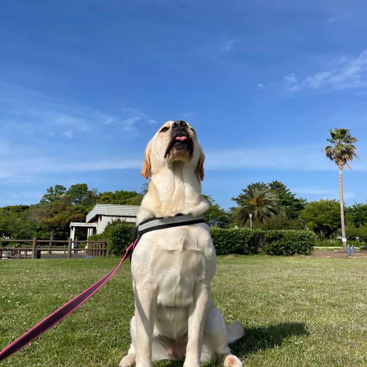 Fb0af8d8 1dbf 49da bc82 b24f3e2e9a9e 1652516586684