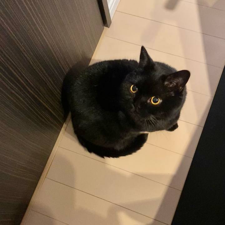 Fb0afba0 2507 4320 af57 1efd7d0d307b 1730552752095