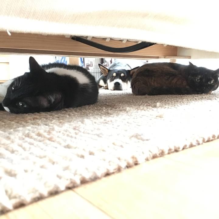 Fb0b395e b8ec 40ba b129 d2b03fd5ade5 1517402072378