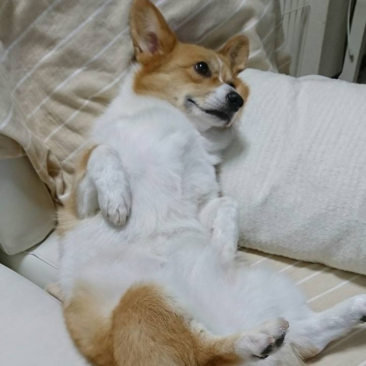 Fb0b3ea5 bf22 4d9b abfd cba2e1081614 1537671921108