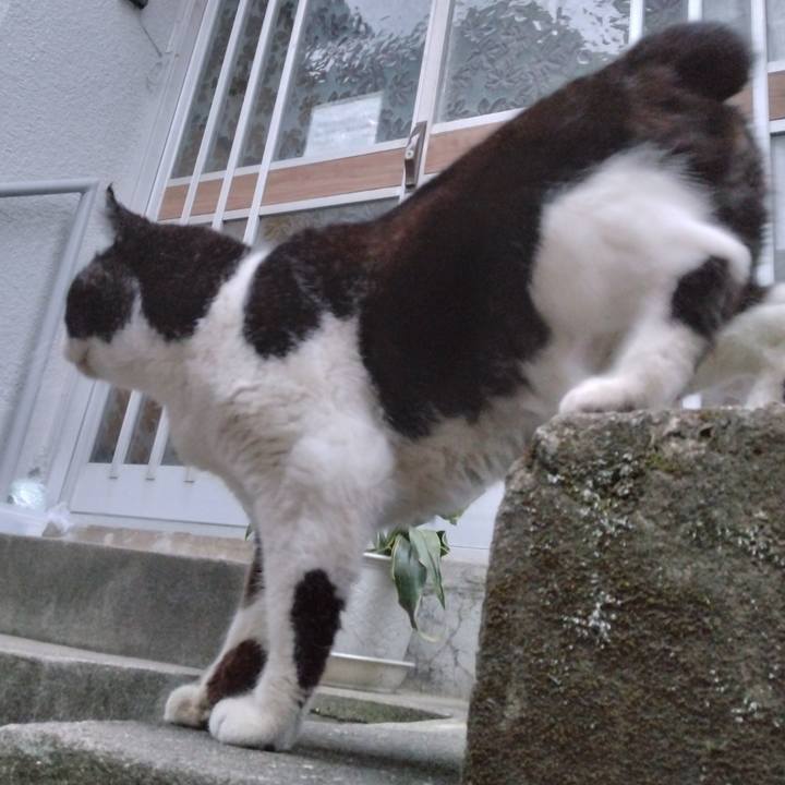 Fb0b5172 17e6 4dec 9c24 1e5a3ff59a83 1704614185897