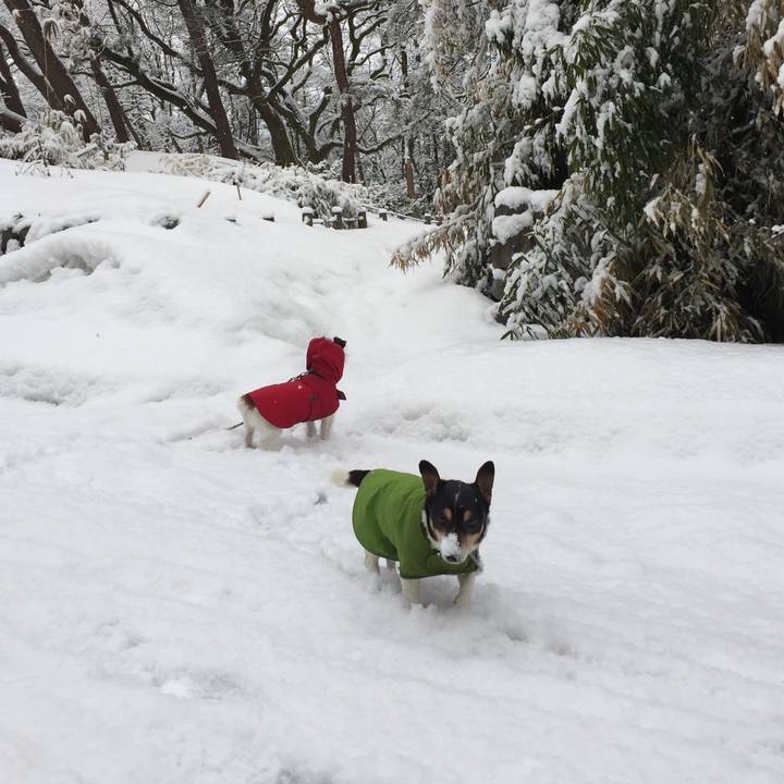 Fb0b8eee 64d5 4fc0 92e2 6666ceb39296 1519261022090