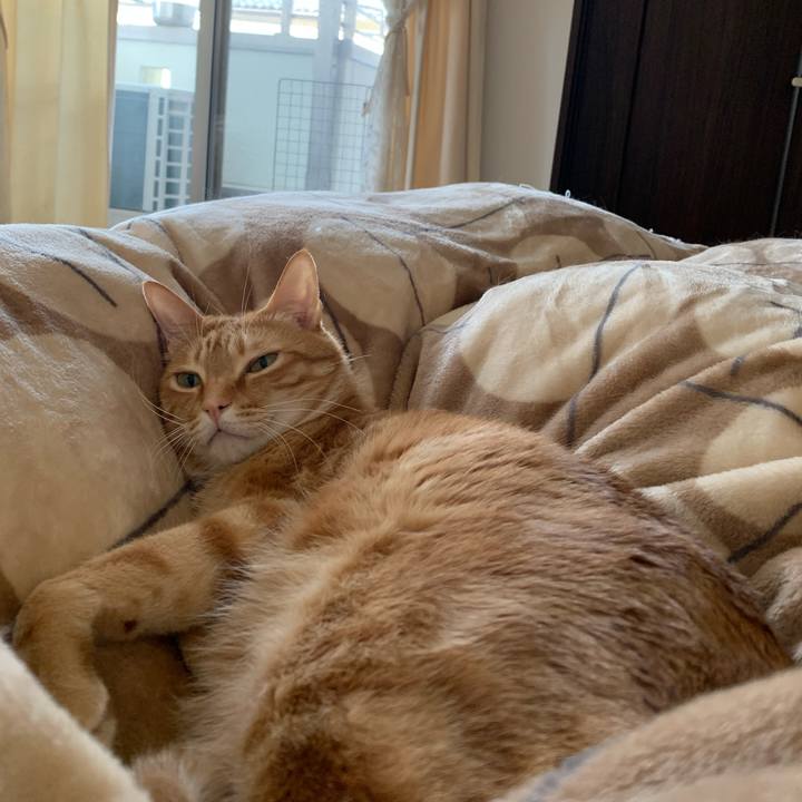 Fb0b9170 d7f4 4b90 8bf0 a59ca3c6079b 1618869677148