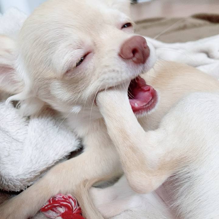 Fb0b9b16 b173 4338 9d10 cab4f8ef5e4a 1596524774295