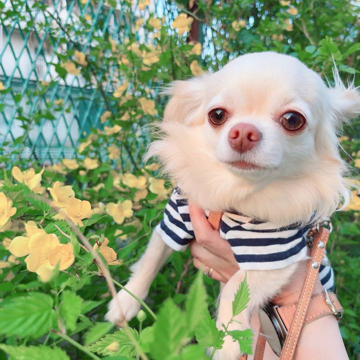 Fb0bdb49 1e9b 4d1c 944b 46170adf52b8 1712739257419