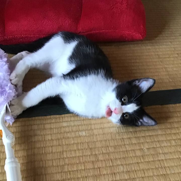 Fb0bdbe0 a26d 4d50 92b7 6a724d632fec 1625290810557