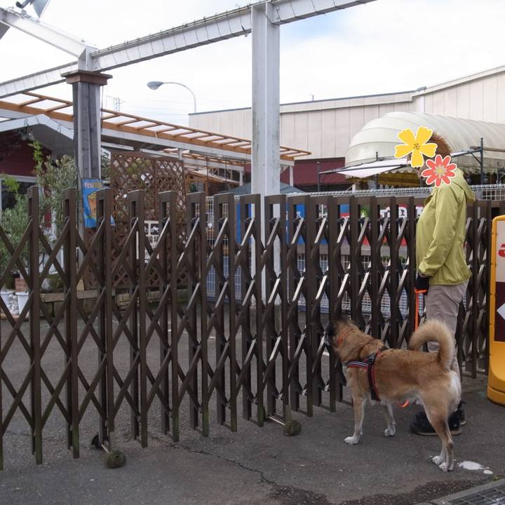 Fb0c34ab ecc3 4aef 84e0 5d111317b14e 1697157527451