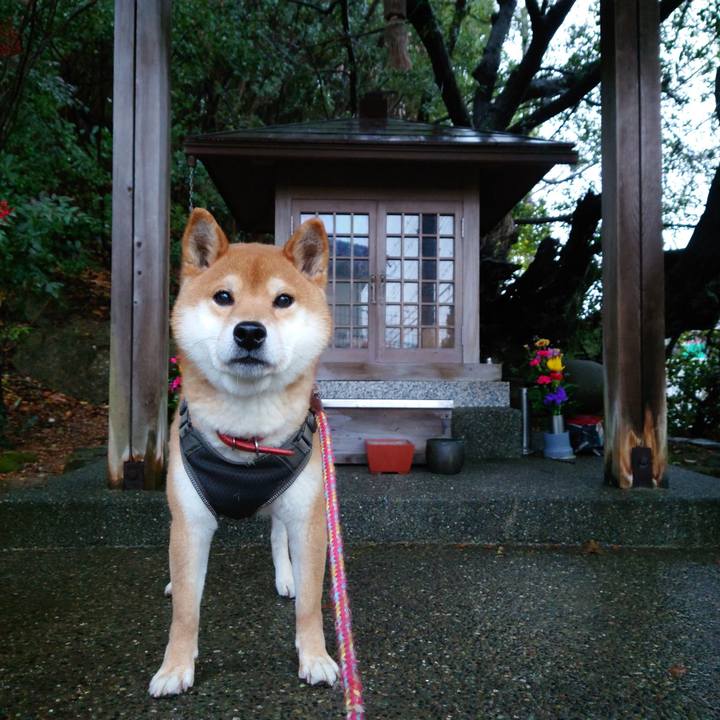 Fb0c3c04 2052 41fc 904e 3d6f52486e80 1770801395236