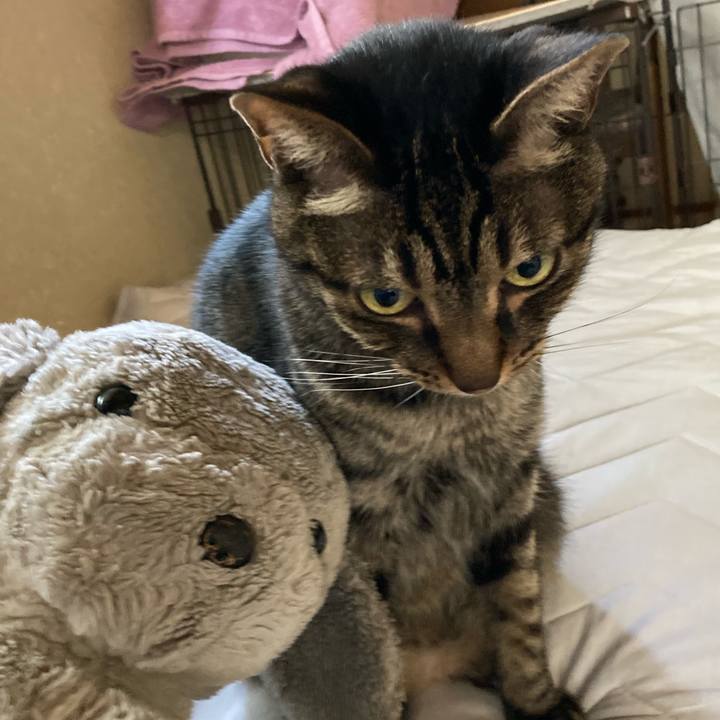 Fb0c7c3c d263 4646 982d ea607ac7f95d 1627005508413