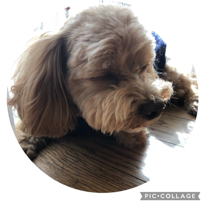 Fb0c8817 8dab 4010 b799 98eed98bc0e7 1618104423813