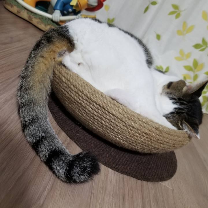 Fb0c9fcd 04b3 42ce b33a 530c85b18e66 1600777425254