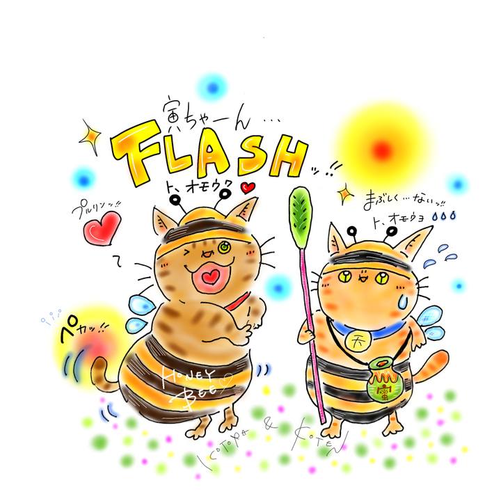 Fb0ca2a5 c364 439d 92e1 a5470b4ee8c5 1691017235626