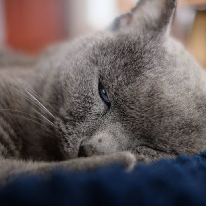 Fb0cc691 a6d0 4f96 8913 f378a54c225b 1684028538788