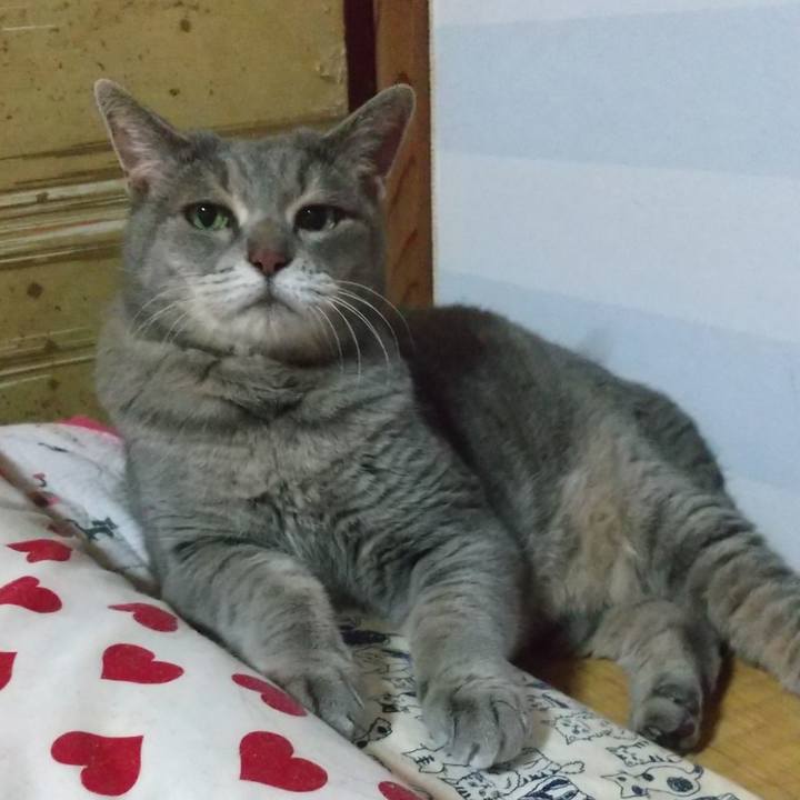 Fb0cdd19 40b7 4450 9803 3f2333fdaaa0 1626961302389