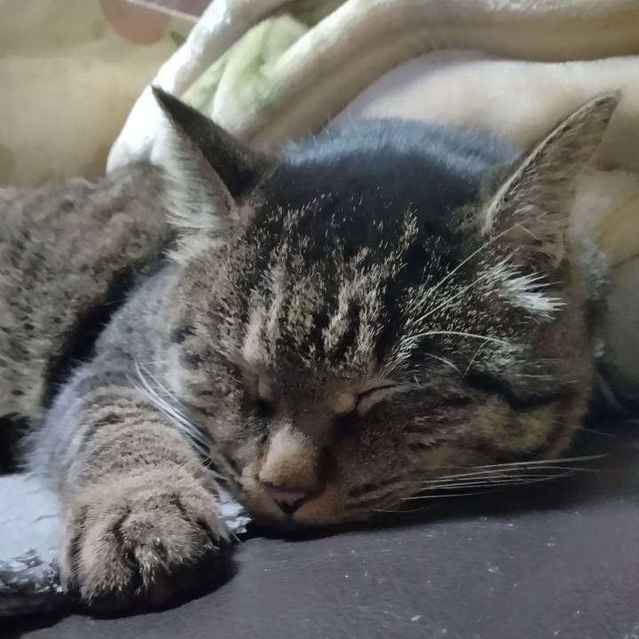 Fb0d3a24 287a 4112 80d5 a30f0bcbb29e 1670413206560