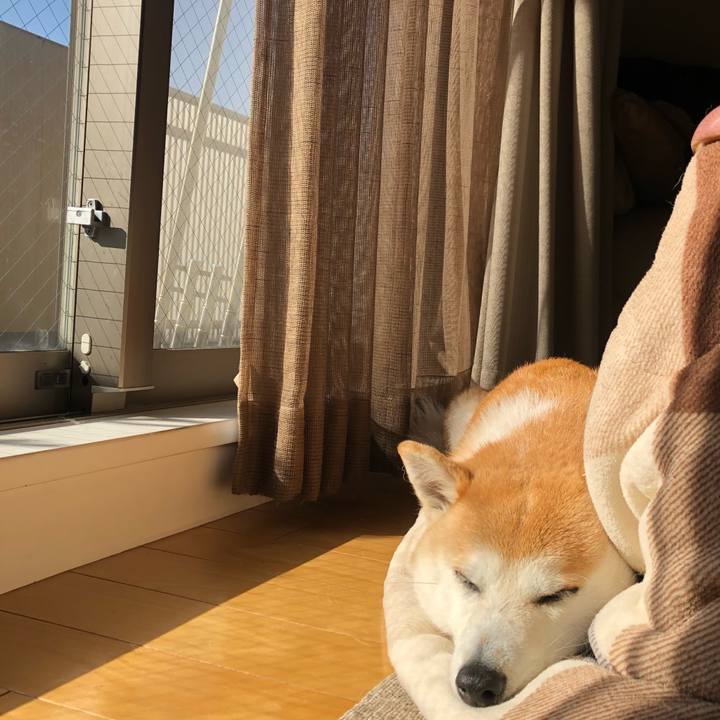 Fb0d3fe5 1d86 4e5b 8df1 ecd5e55d3b65 1645856031629