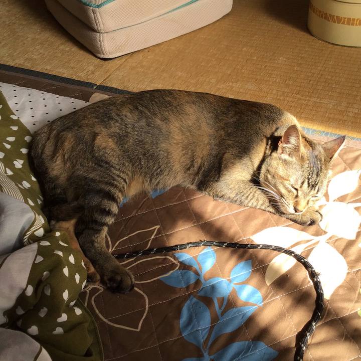 Fb0d4122 8c8f 4f6d ae87 f216c7fe241b 1587439977565