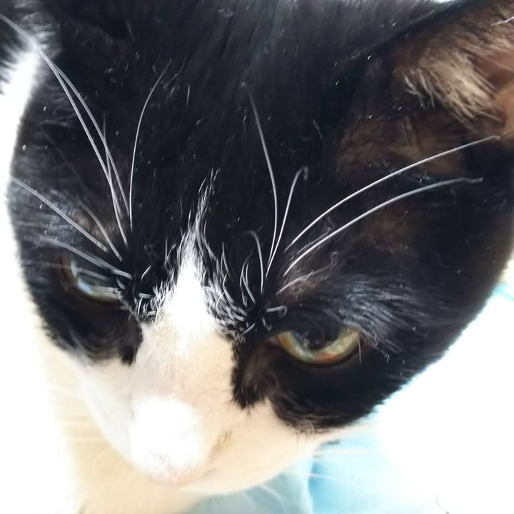 Fb0d8cda 1e02 4925 bf66 7933bea0b7ef 1585694834054