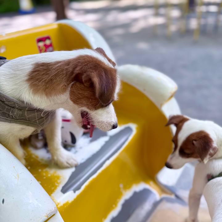 Fb0ddb1f f093 43d8 9dc3 6da5248691fe 1753009885288