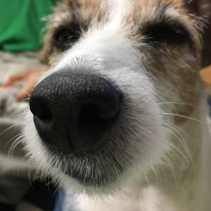 Fb0ded22 ccd0 4688 bfca adad7108e9a0 1551271637204