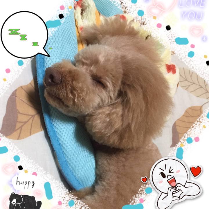 Fb0df1fa 76a1 4a36 b1ce e366de492b94 1508403494402