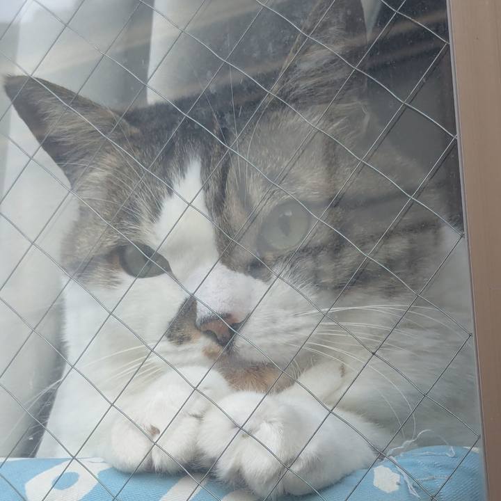 Fb0df60a 150f 441b 9681 e58d9c6c983f 1773786927572