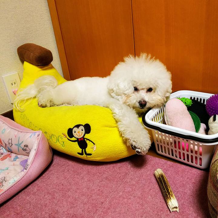 Fb0dfc2d fe5b 4461 9681 0bbdd48eebad 1554032235540