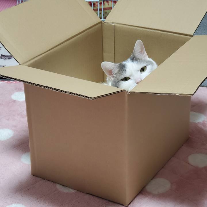 Fb0e07d7 1328 4f73 863b 633533997f54 1575902273094