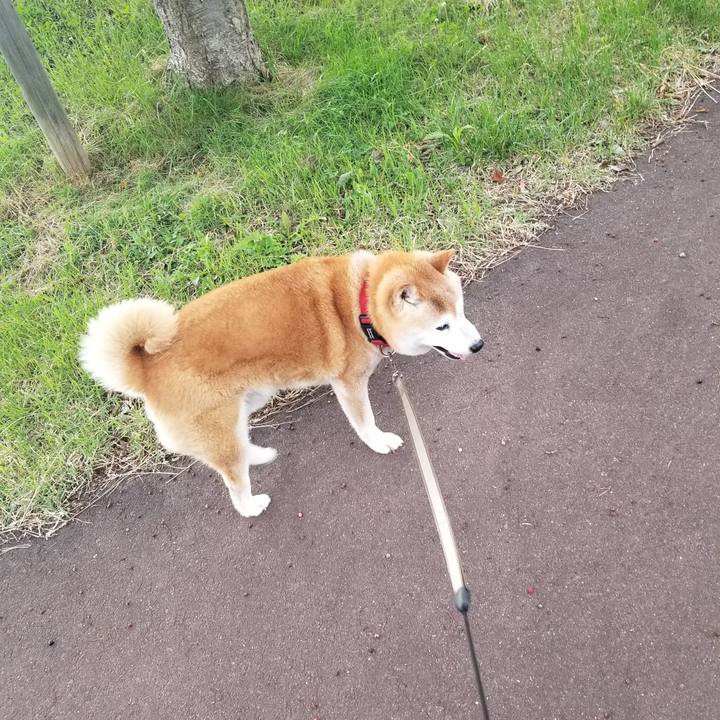 Fb0e5a66 7d17 483b 884d a84dad6ecf9c 1717056362371