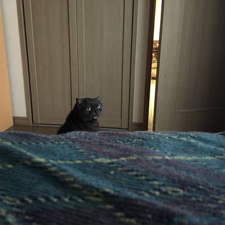 Fb0e5e2d f9d6 4c87 bca4 e4b4b8084b31 1525042900411