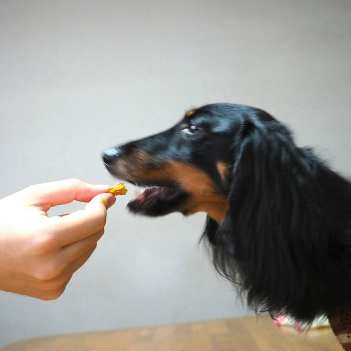 Fb0e69c6 a0fa 4cff 8698 3fe190be23cc 1564290657698