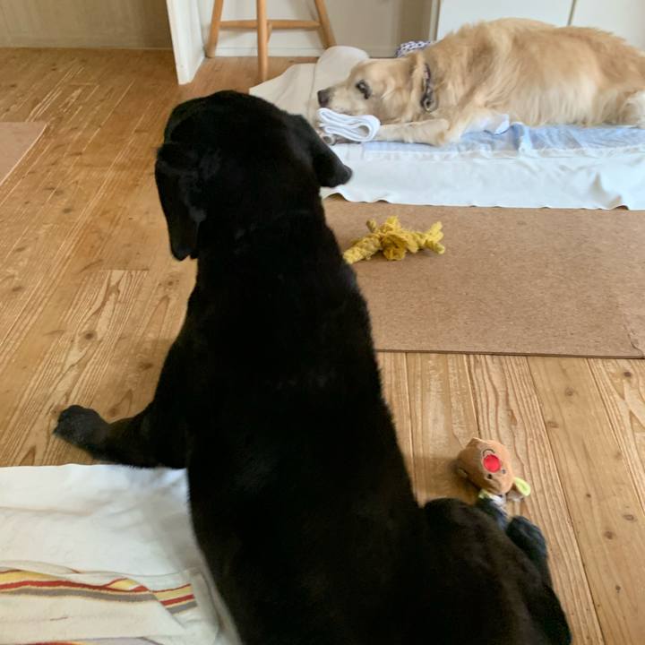 Fb0e7aa9 b567 4721 a8b7 3008ae23b789 1645054028700