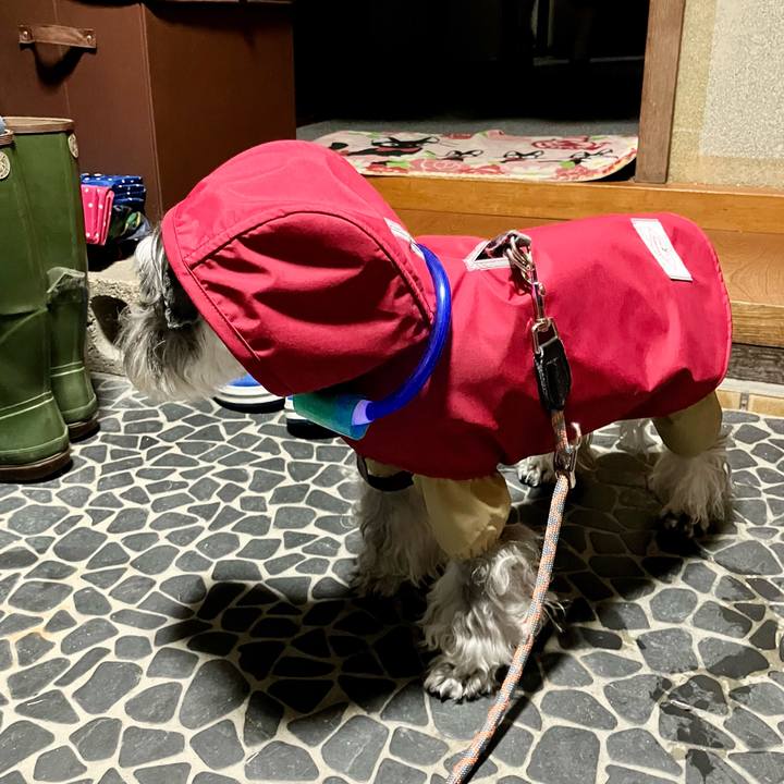 Fb0e8884 9a3e 4060 b640 5ec8fdff28ba 1724939014510